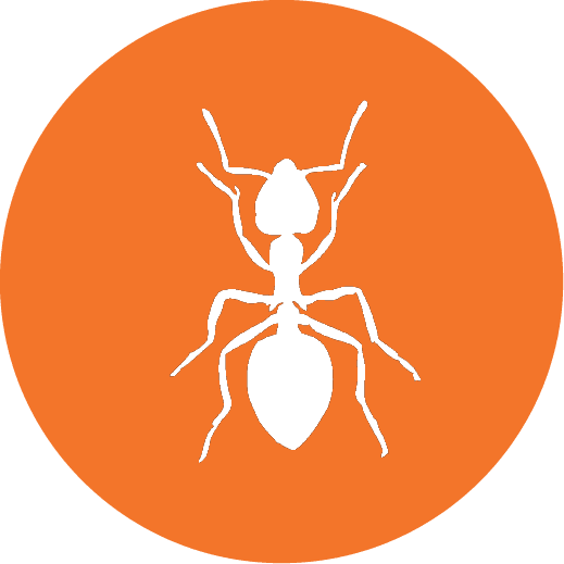 White ant silhouette icon on an orange circle background representing professional ant control services.