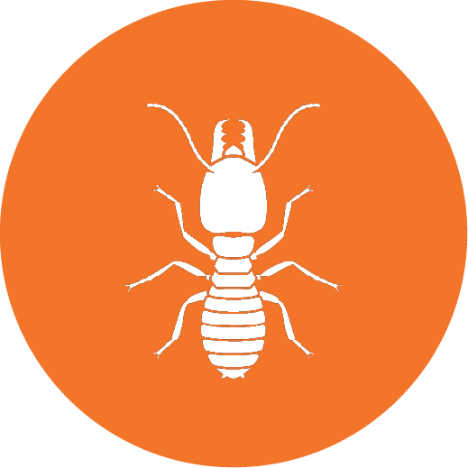 White termite silhouette icon on an orange circle background representing professional termite control services.