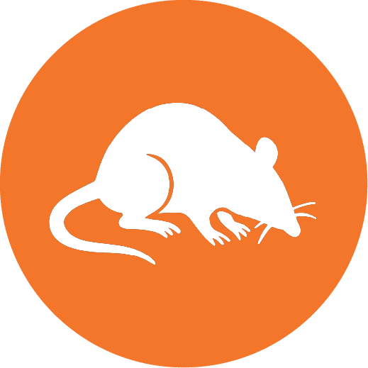 White rodent silhouette icon on an orange circle background representing professional rodent control services.